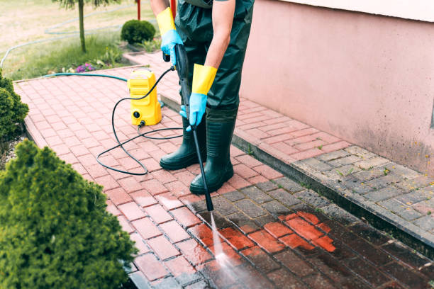 Animal Enclosure Cleaning